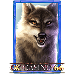 bufallo win h wolf