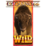bufallo win s freespins en