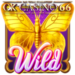 butterfly blossom s wild but