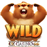 groundhog harvest s wild m