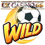 shaolin soccer s wild