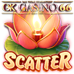wild fireworks s scatter en