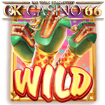 wild fireworks s wild en