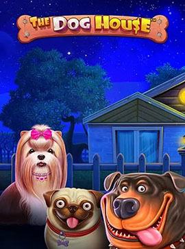 Fantasma Games The Dog House The Dog House